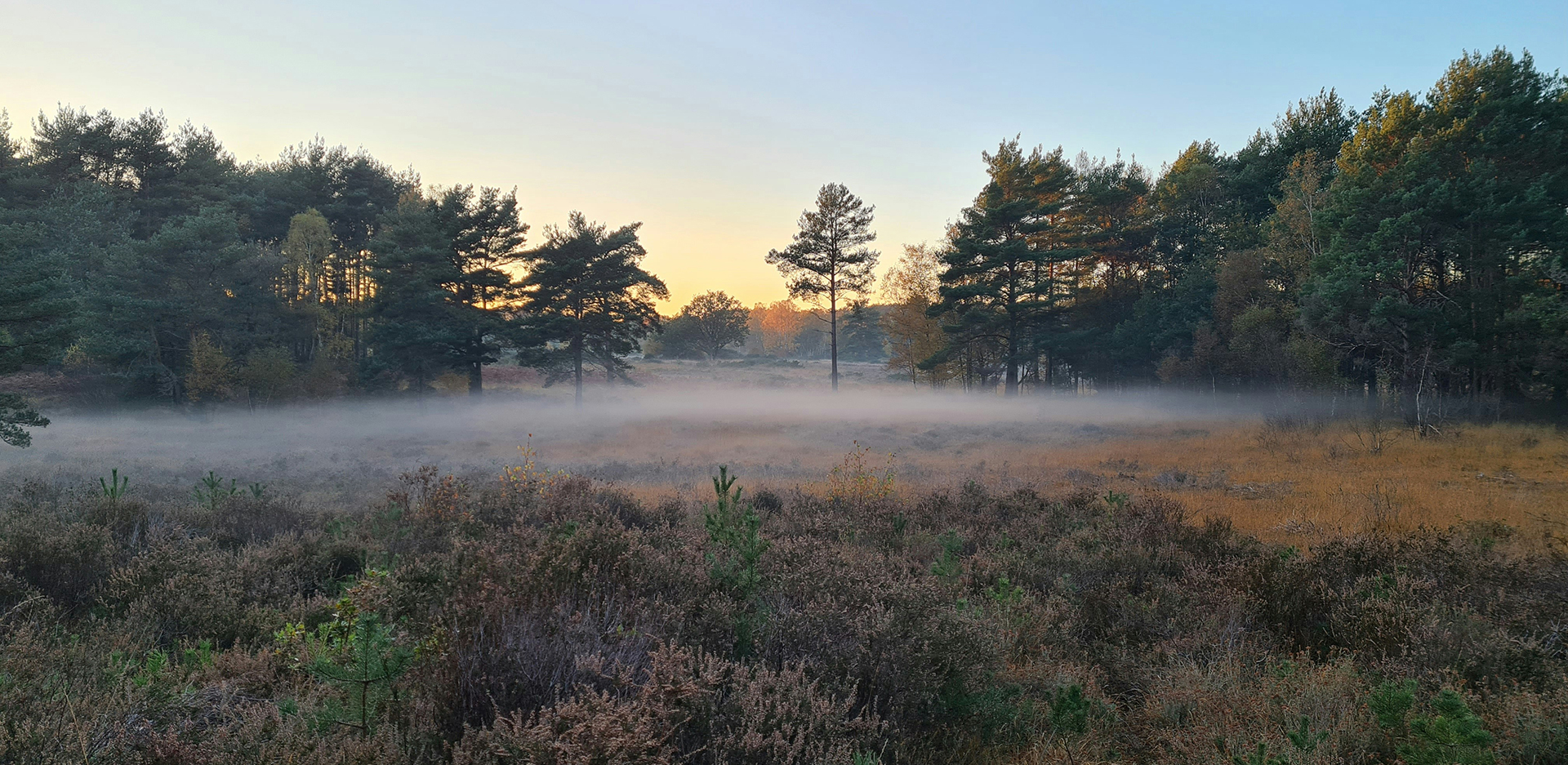 Η εξοχή της Αγγλίας δεν έχει καμία σχέση με τις εξοχές που ξέρουμε
