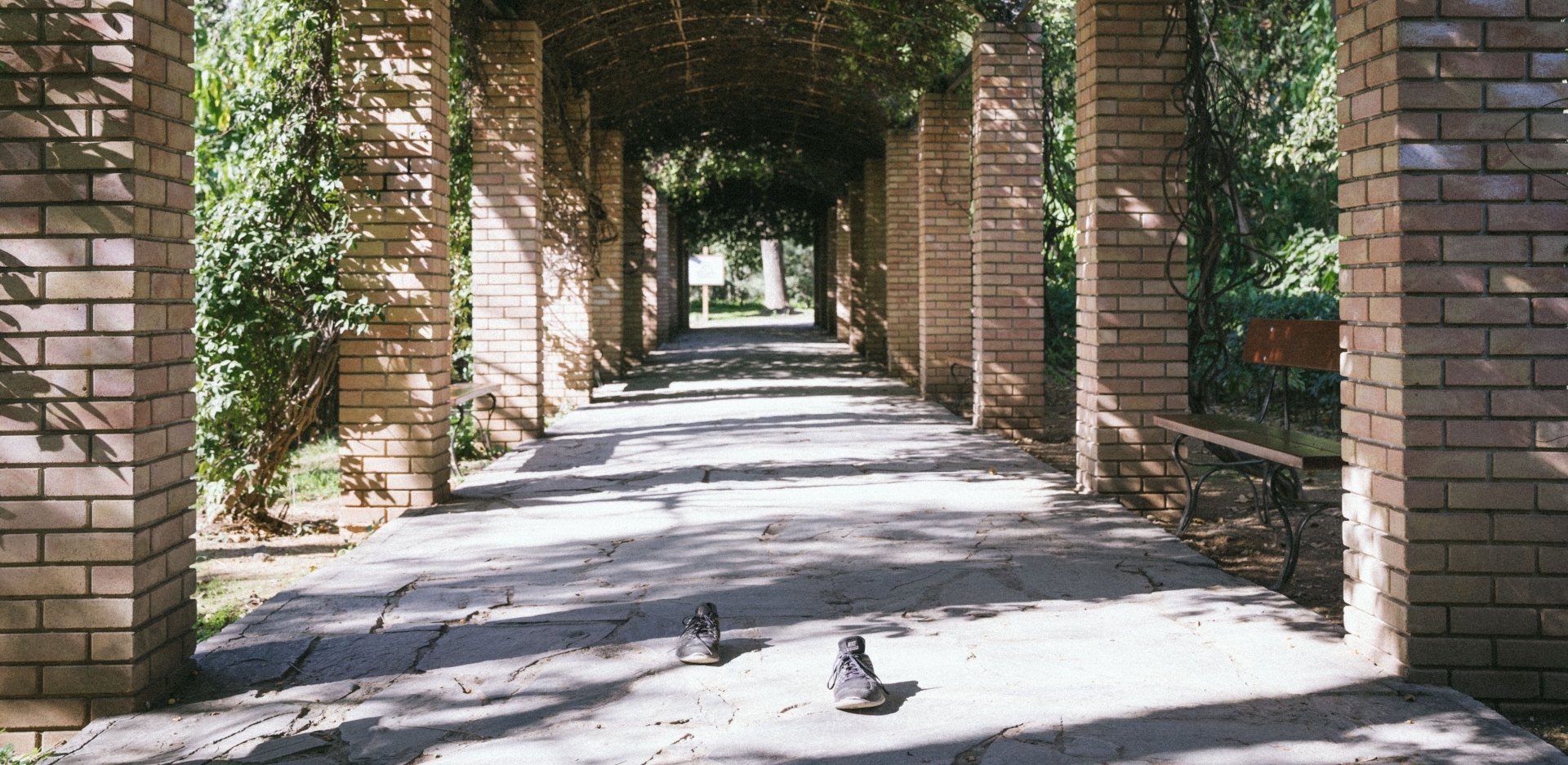 Γιώργος Ζώης: Ο σκηνοθέτης του «Αρκάντια» παρουσιάζει και γράφει στην ATHENS VOICE για το φωτογραφικό project με τα αδέσποτα παπούτσια στην Αθήνα.