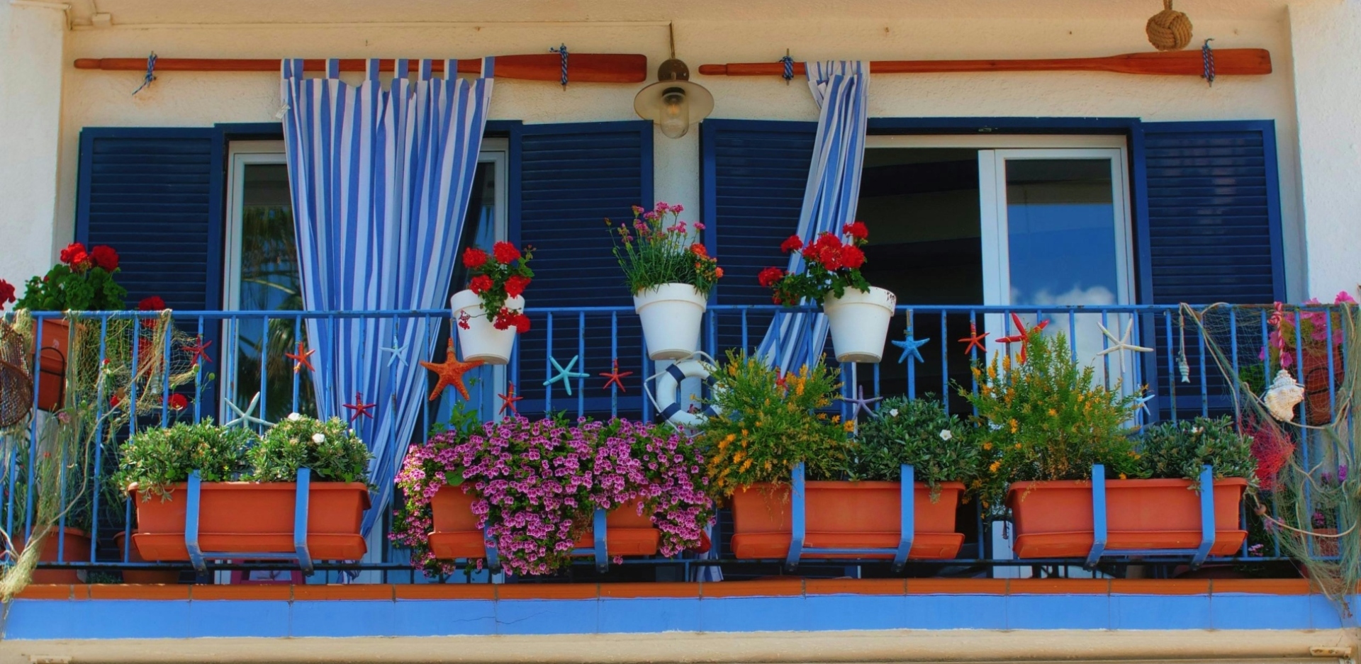 8 δημοφιλή φυτά για να βάλετε την Άνοιξη στο μπαλκόνι σας	