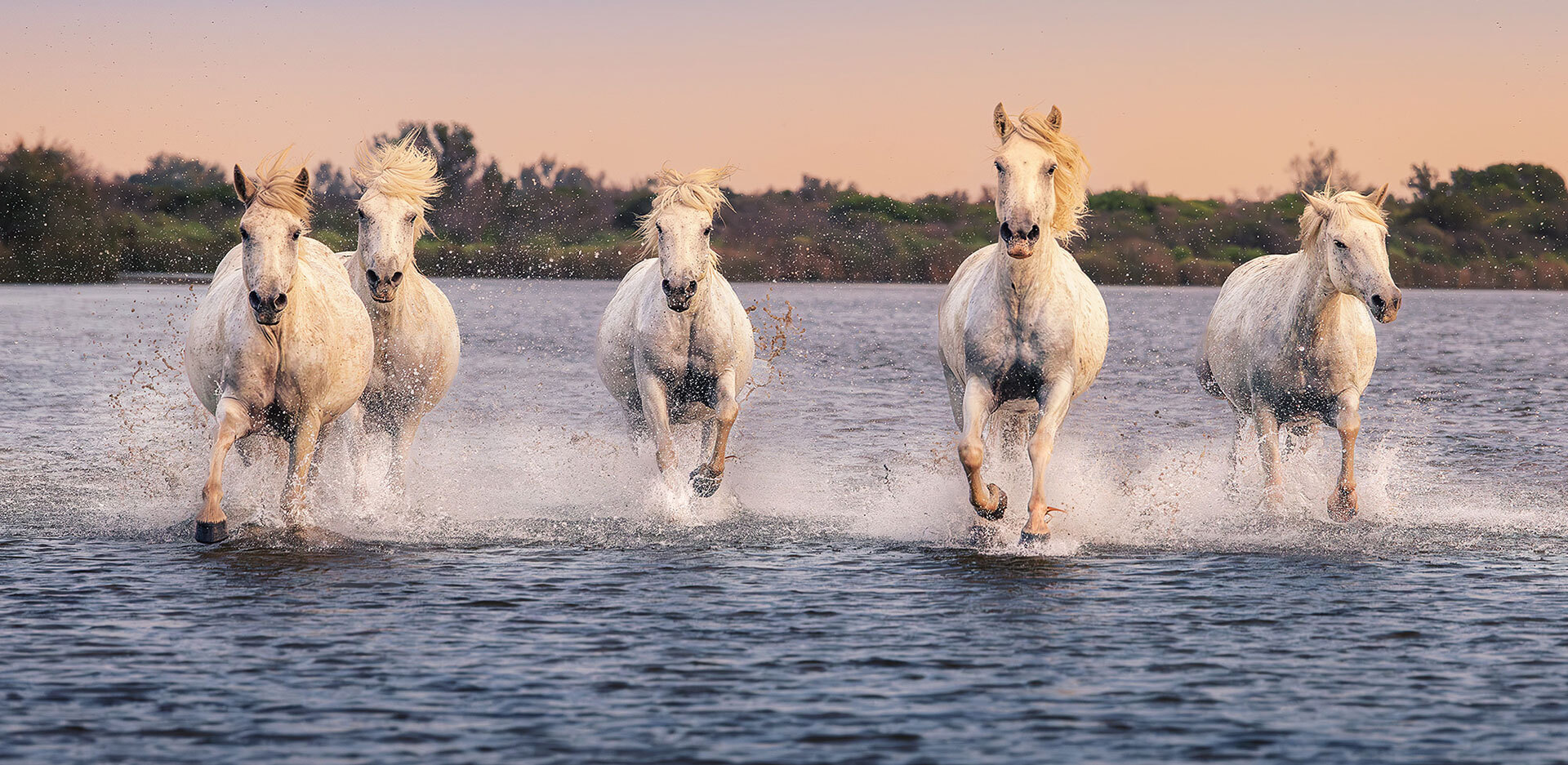 Ένα φωτογραφικό ταξίδι στη Νότια Γαλλία μέσα από τη ματιά του Γιάννη Λάριου