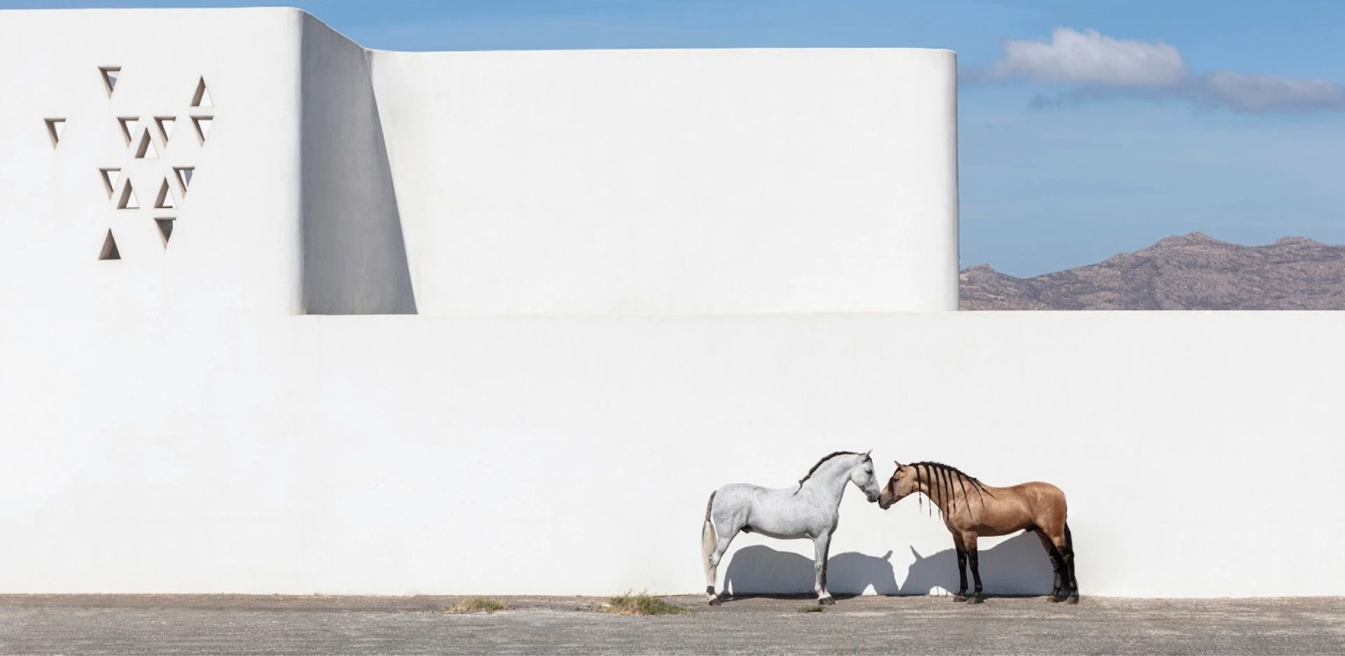 Ο φωτογράφος Γιώργος Κορδάκης και η αβίαστη ματιά στην ομορφιά