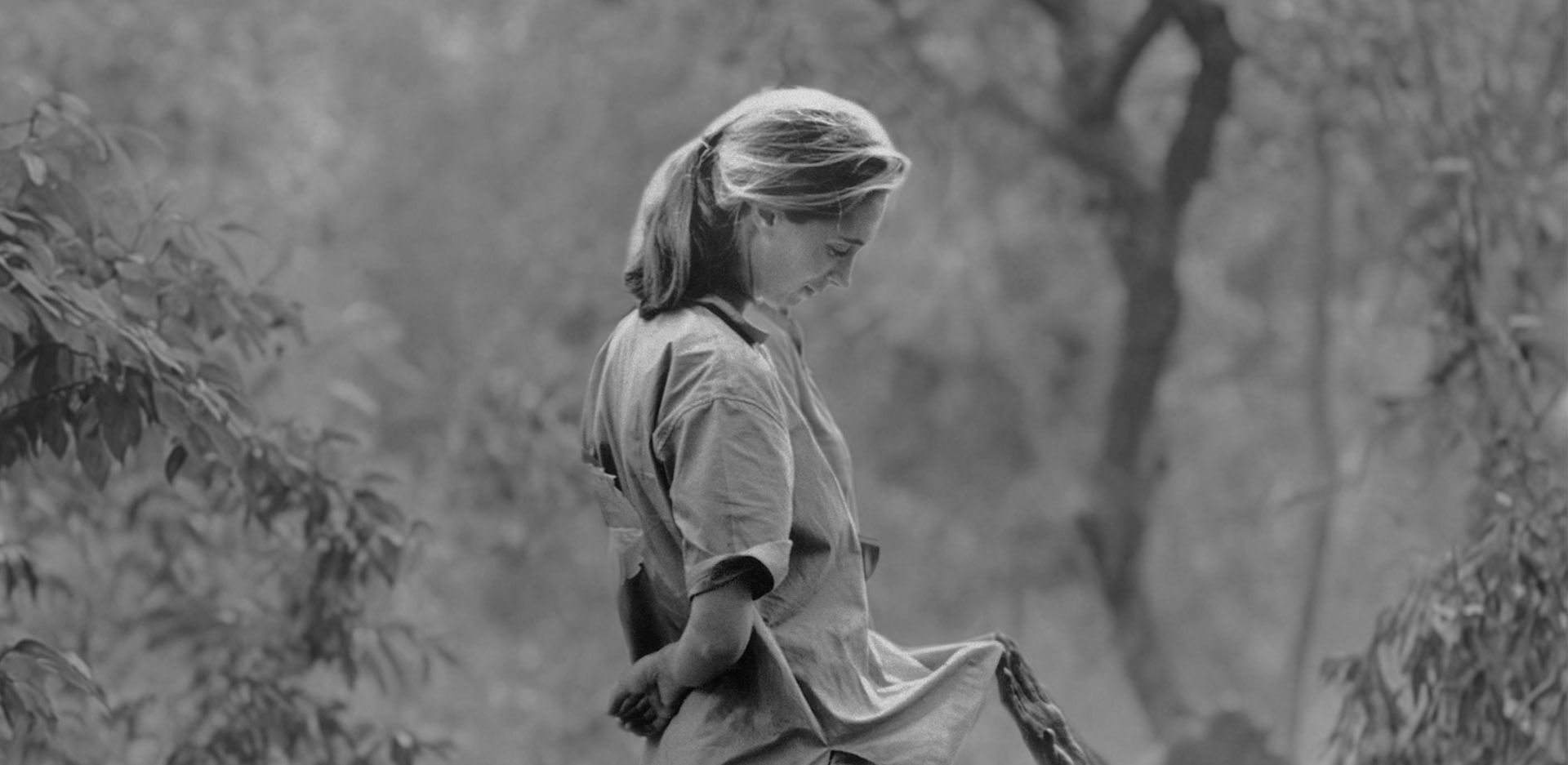 Τζέιν Γκούντολ: Η ζωή της γυναίκας που αγάπησε και μελέτησε τους χιμπαντζήδες