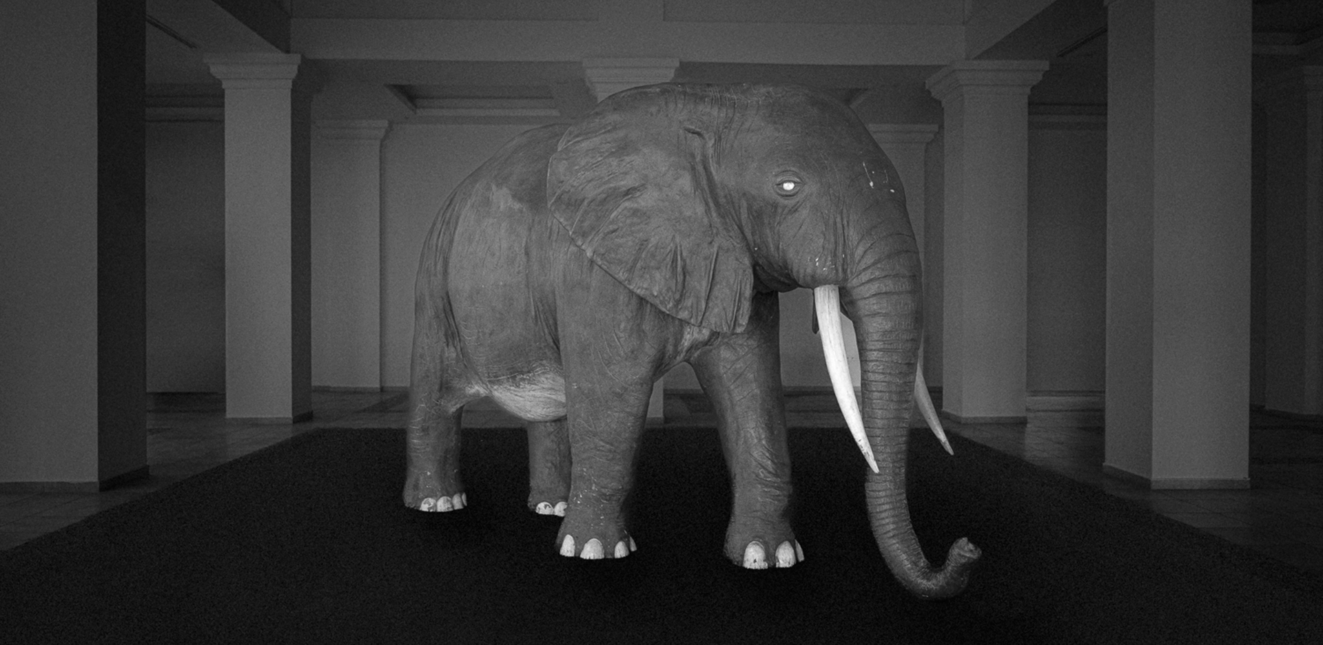 Δημήτρης Μυτάς: Ο Ελέφαντας είναι το βάρος που δεν λέγεται