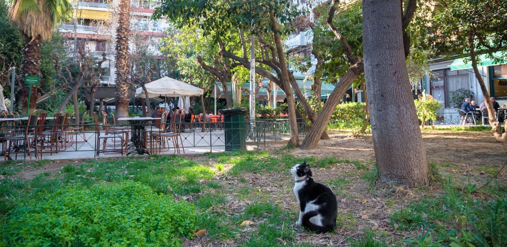 ΑΦΙΕΡΩΜΑ ΠΑΓΚΡΑΤΙ