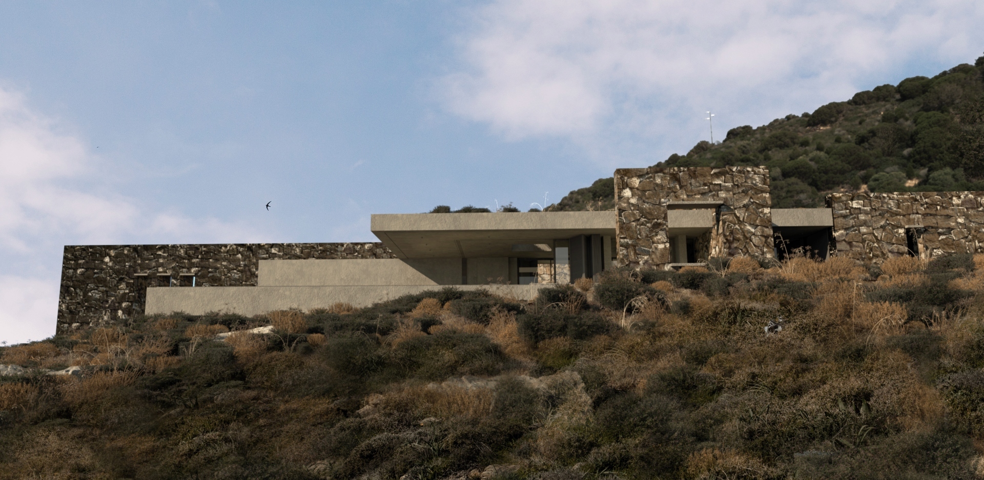 Onus Architecture Studio