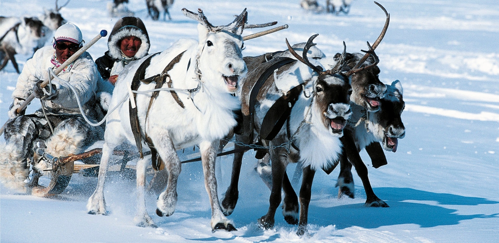 Λευκός Παράδεισος