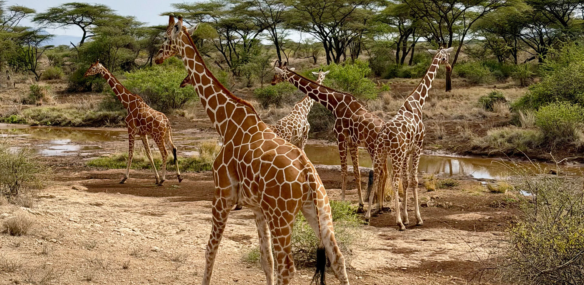 Ταξίδι στην Κένυα