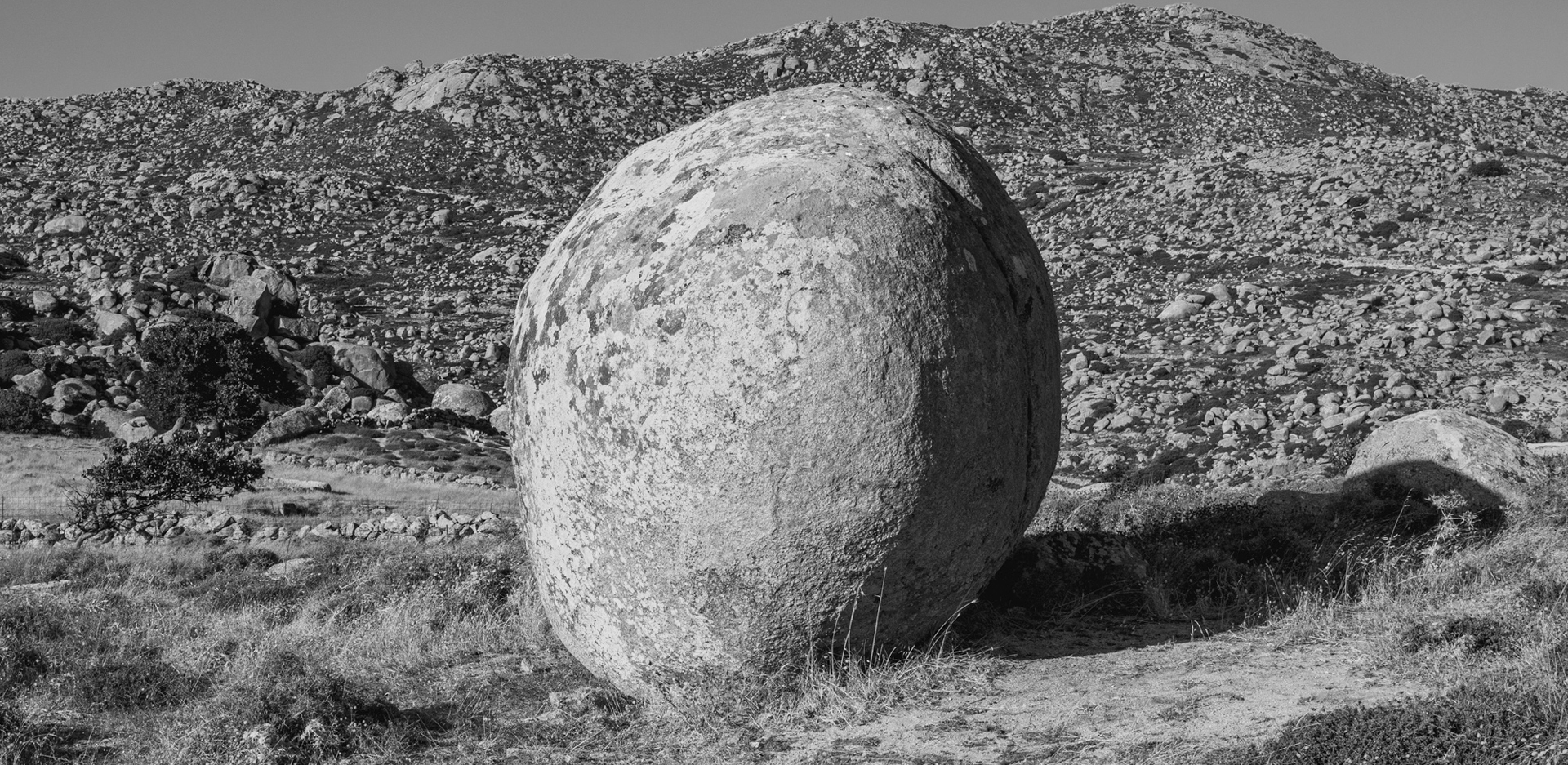 Βώλακας | Τήνος