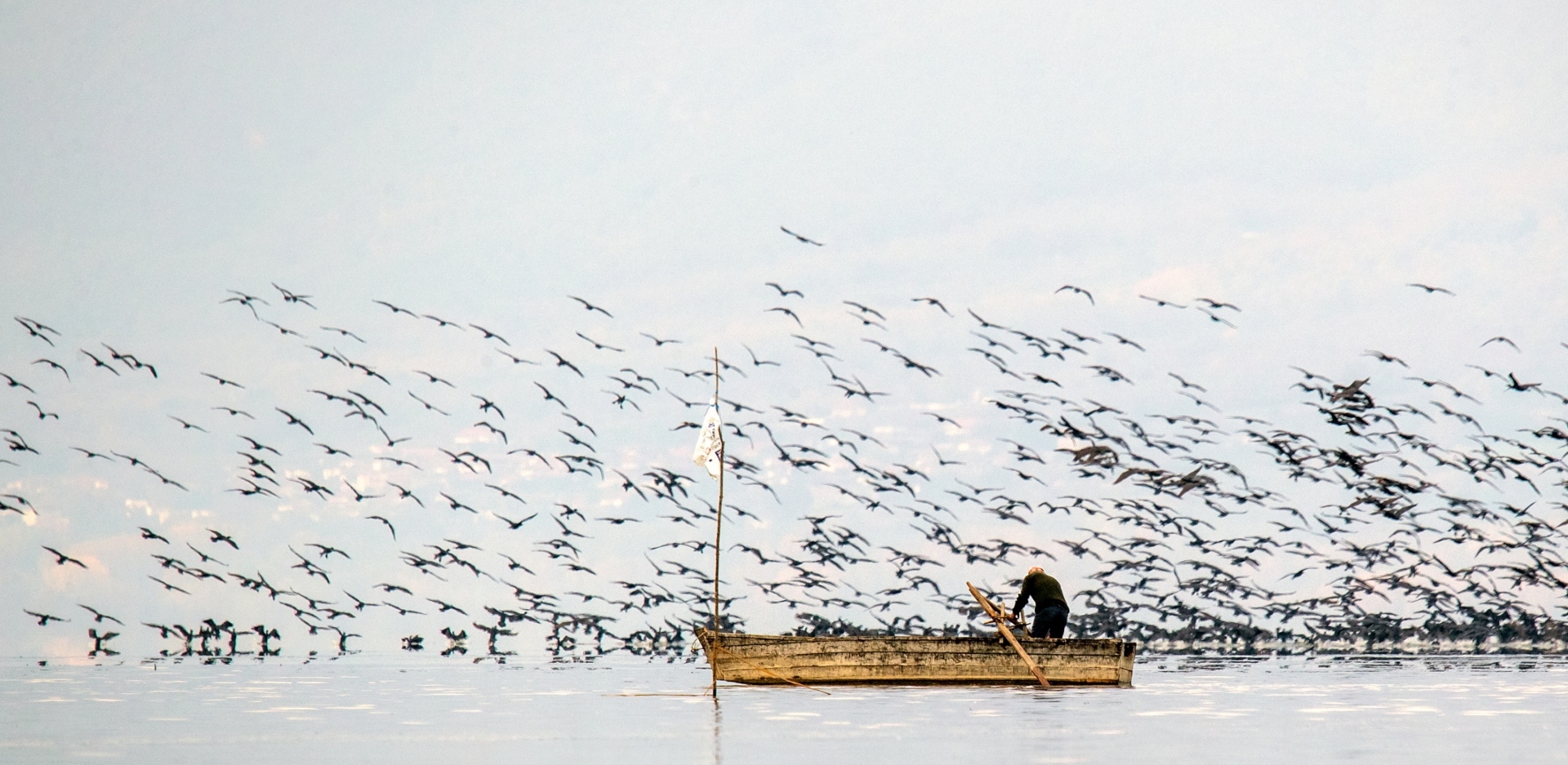 Kerkini Wetlands Photo Awards