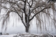 Γεωκουλτούρα: Όλα για την 8η Μπιενάλε Σύγχρονης Τέχνης Θεσσαλονίκης, που ξεκινά στις 10 Δεκεμβρίου