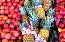 Ρεφανίδης Φρουτομαγεία