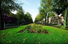 Οι πράσινες πόλεις, ο σχεδιασμός τους και η πρωτοπορία της βιώσιμης κινητικότητας 