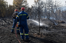 Φωτιά στο Κρανίδι