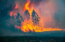 Φωτιά στη Γαλλία