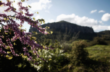 Καιρός: Μικρή ανάσα δροσιάς σήμερα Δευτέρα 18 Ιουλίου 2022