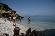 Λουόμενοι σε παραλία στην Αττική αντιμέτωποι με μωβ μέδουσες