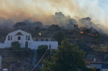 Μια ανάσα από σπίτια η φωτιά στη Σαλαμίνα