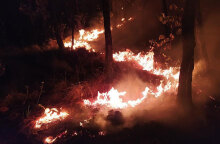 Για δεύτερη νύχτα μαίνεται η φωτιά στον Έβρο