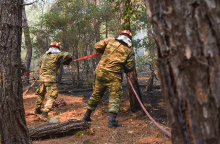 Φωτιά στον Έβρο