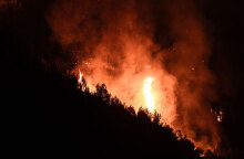Ολονύχτια μάχη στην Ηλεία με τις φλόγες
