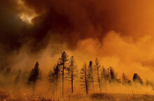 Μεγάλη φωτιά κάνει στάχτη δάσος στην Καλιφόρνια