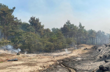 Δάσος της Δαδιάς