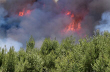 Δασική πυρκαγιά