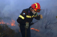 Πυροσβέστης επιχειρεί σε δασική πυρκαγιά