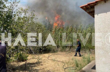 Κοντά σε σπίτια η φωτιά στην Ηλεία, στην περιοχή Σπιάντζα