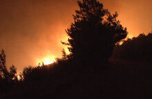 Ολονύχτια μάχη με τις φλόγες δίνουν οι πυροσβέστες στη δασική πυρκαγιά