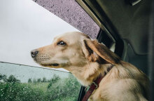 Βροχές έχει ο καιρός αύριο Κυριακή (14/8) σε πολλές περιοχές της χώρας