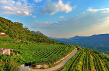 Θεσπρωτικό Πρέβεζας