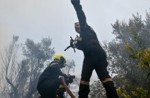 Πυροσβέστες σε δασική πυρκαγιά