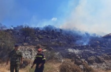 Πυρκαγιά στη Μυτιλήνη - Επιχειρεί η Πυροσβεστική για να μην απειληθεί δάσος