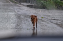 Ξεκίνησε η κακοκαιρία: Μήνυμα του 112 σε Θεσσαλονίκη και Θεσσαλία