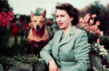 Η βασίλισσα Ελισάβετ είχε σημαντική ιδιωτική περιουσία