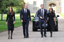 Οι πρίγκιπες Ουίλιαμ και Χάρι ξανά μαζί στο κάστρο του Γουίνδσορ (video)