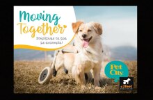 Τα Pet City στηρίζουν τα ζώα με αναπηρία