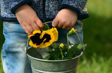 2χρονο αγόρι εξαφανίστηκε στη Χαλκιδική