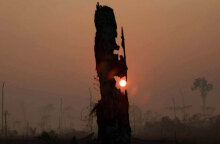 Ο ήλιος δύει σε καμένη γη στον Αμαζόνιο