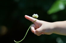 Κλοτσιά στην εγγονή του έριξε παππούς σε ζαχαροπλαστείο στα Χανιά