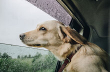 Βροχές σε περιοχές της χώρας δίνει η πρόγνωση καιρού της ΕΜΥ για σήμερα Δευτέρα (3/10)