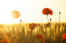 Καλές καιρικές συνθήκες τη Δευτέρα 10 Οκτωβρίου, σύμφωνα με την πρόγνωση καιρού