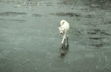 Βροχές από το βράδυ της Πέμπτης (13/10) σε περιοχές της χώρας