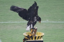 Κάθετα αντίθετος με τον αετό στο νέο γήπεδο της ΑΕΚ ο Καφετζόπουλος