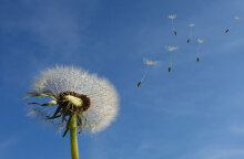 Καλός ο καιρός το τριήμερο της 28ης Οκτωβρίου, σύμφωνα με τους μετεωρολόγους