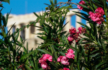 Καιρός σήμερα