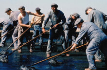 Μόργκαν Φρίμαν και Τιμ Ρόμπινς στην ταινία «Τελευταία Έξοδος Ρίτα Χέιγουορθ»