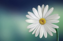 Εορτολόγιο: Σήμερα 3 Νοεμβρίου γιορτάζει…