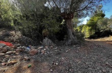 Συνελήφθη ο 14χρονος που σκότωσε τον αδελφό του στη Μάνδρα